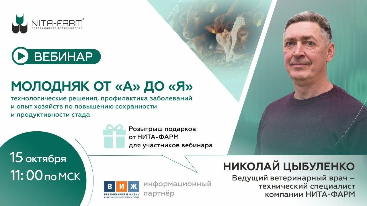 Молодняк от «А» до «Я» 🐄
