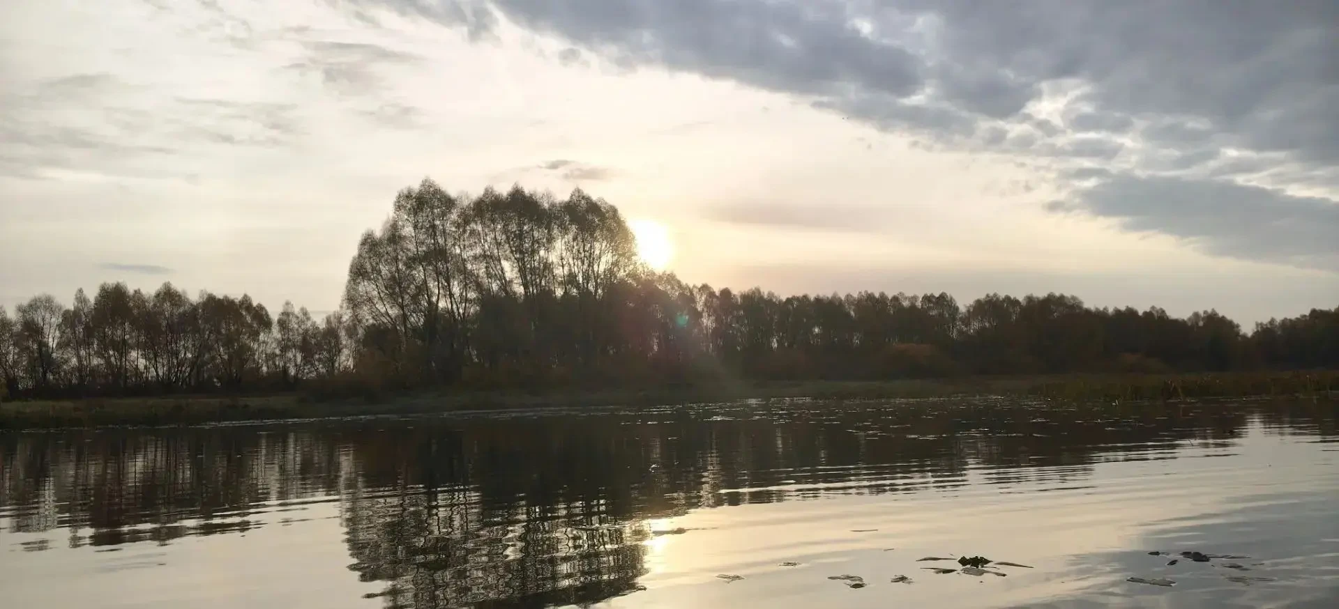🦫 Во Владимирской области проводят учёт околоводных пушных животных