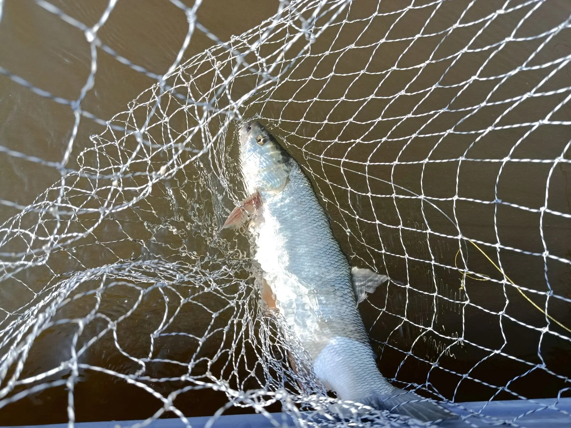 Штиль. Зеркальная вода. И вдруг — поклёвка! 🎣