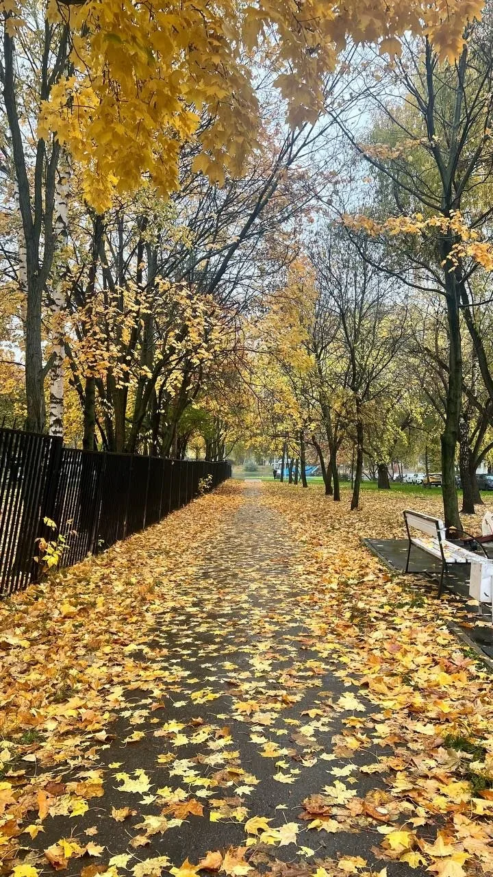 Ещё золотая осень в Бусиново 🍂