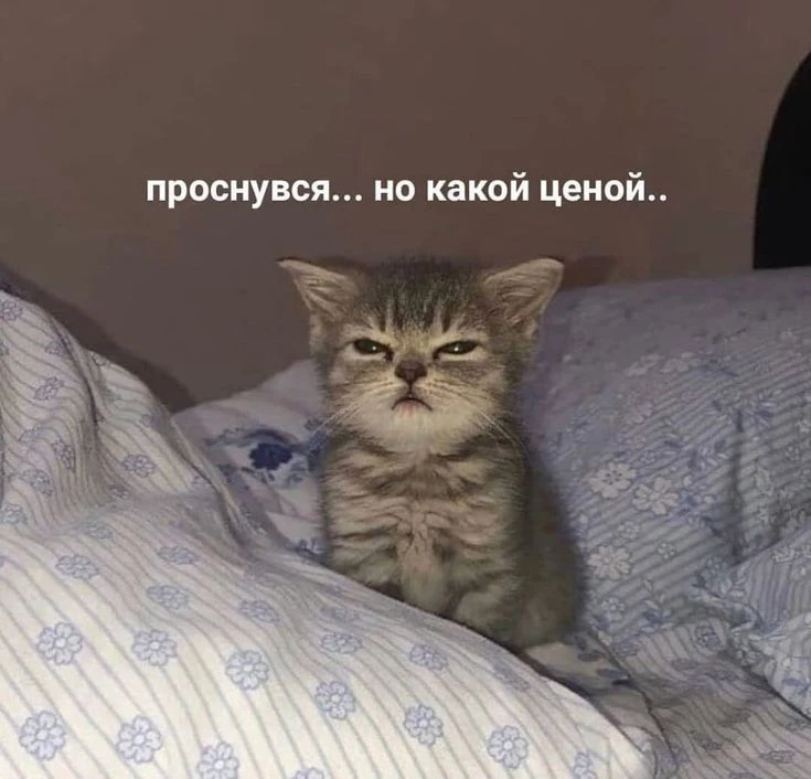 Доброго утра! Что нам дождь, когда уже всё 😅