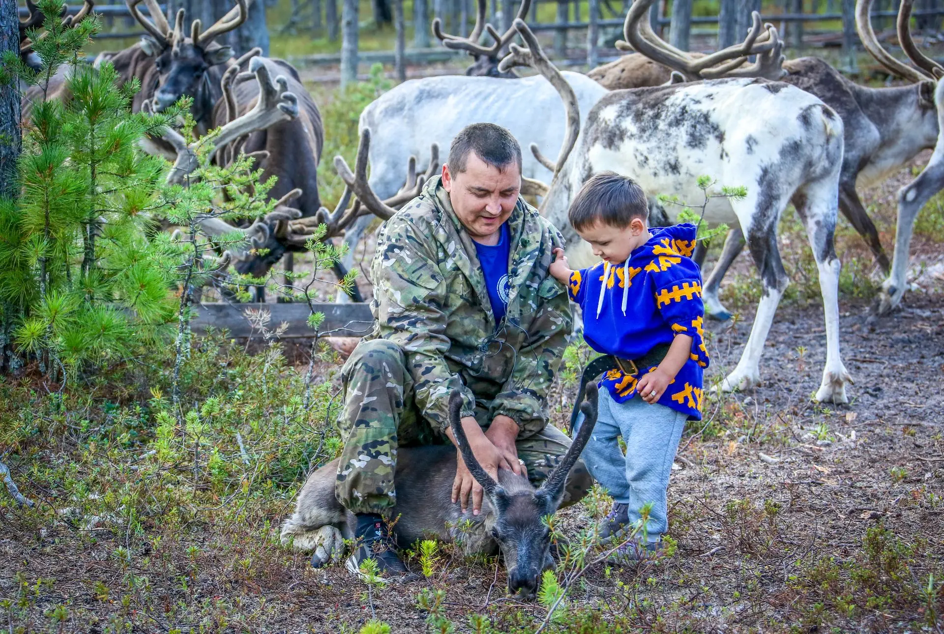 🌲 В Югре проходит конкурс «Лучшее стойбище Югры»