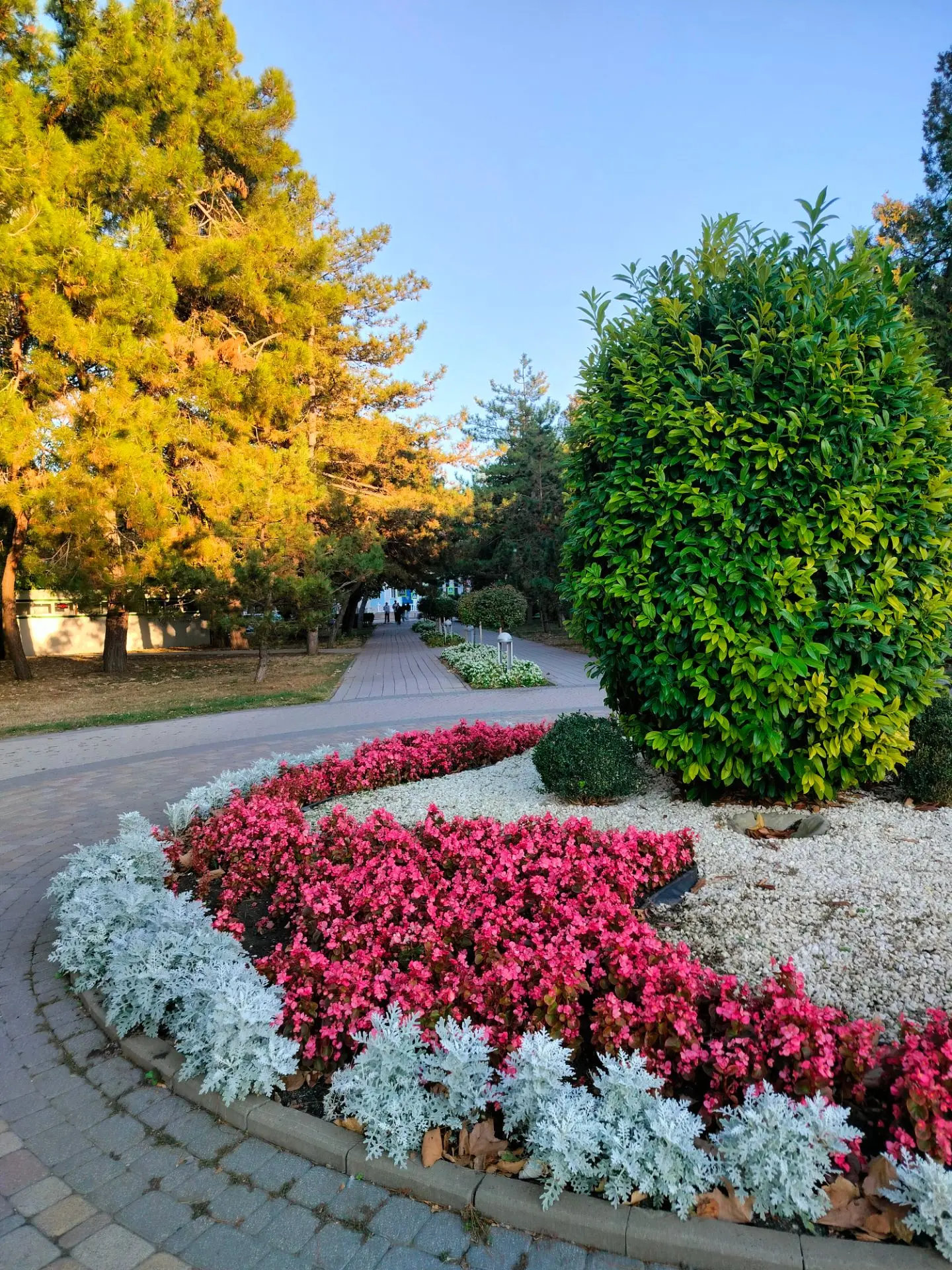 🌳 Большие планы на озеленение Анапы: цифры и факты 🌺