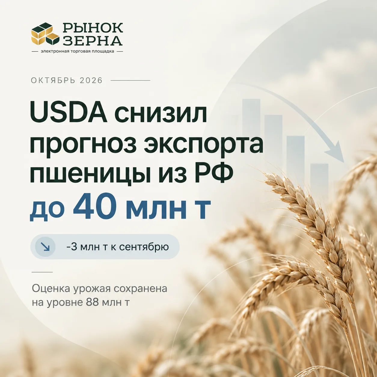 📉 USDA снизил прогноз экспорта российской пшеницы до 40 млн тонн