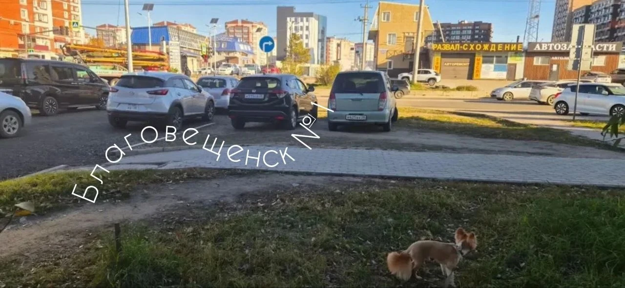 Опять про мастеров парковки