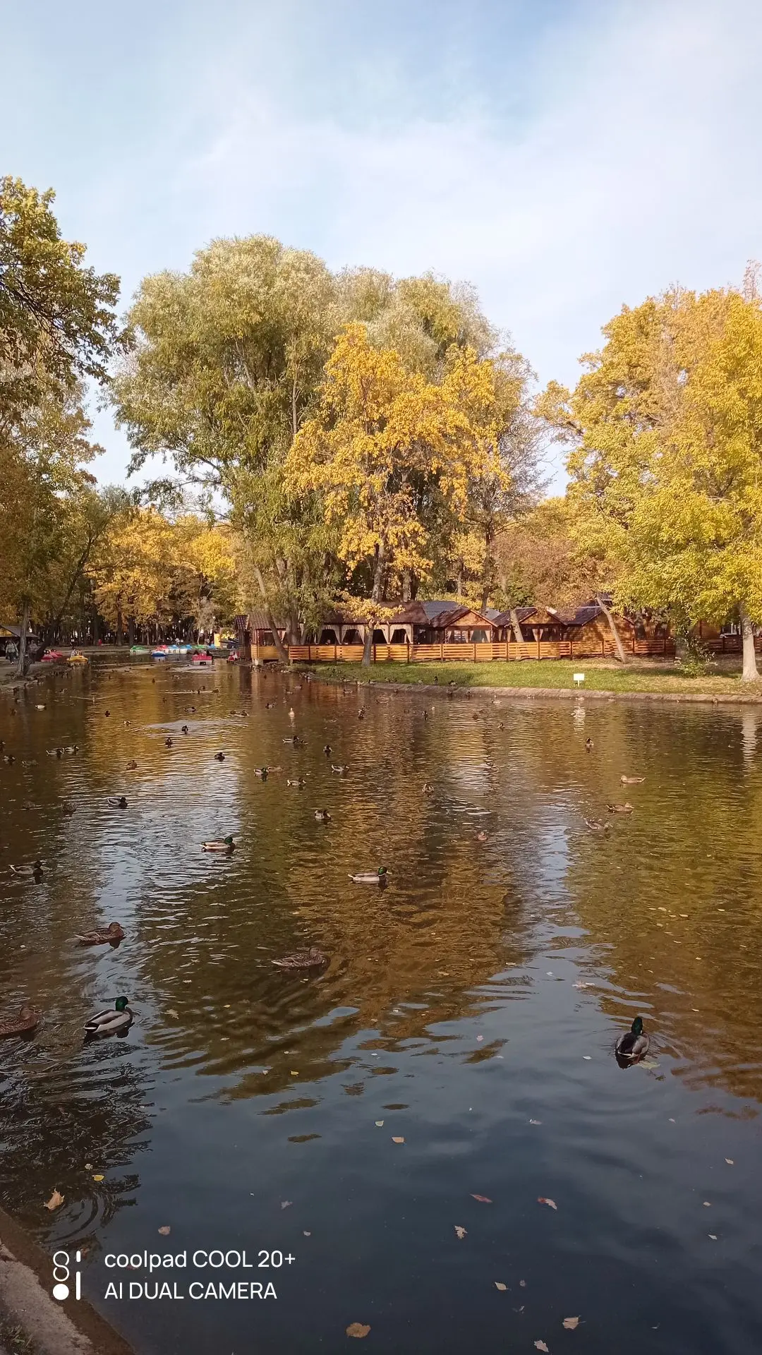 В парке чистые водоемы и очень много уток.🦆🦆🦆 Я в восторге от уток, нравится мне наб...