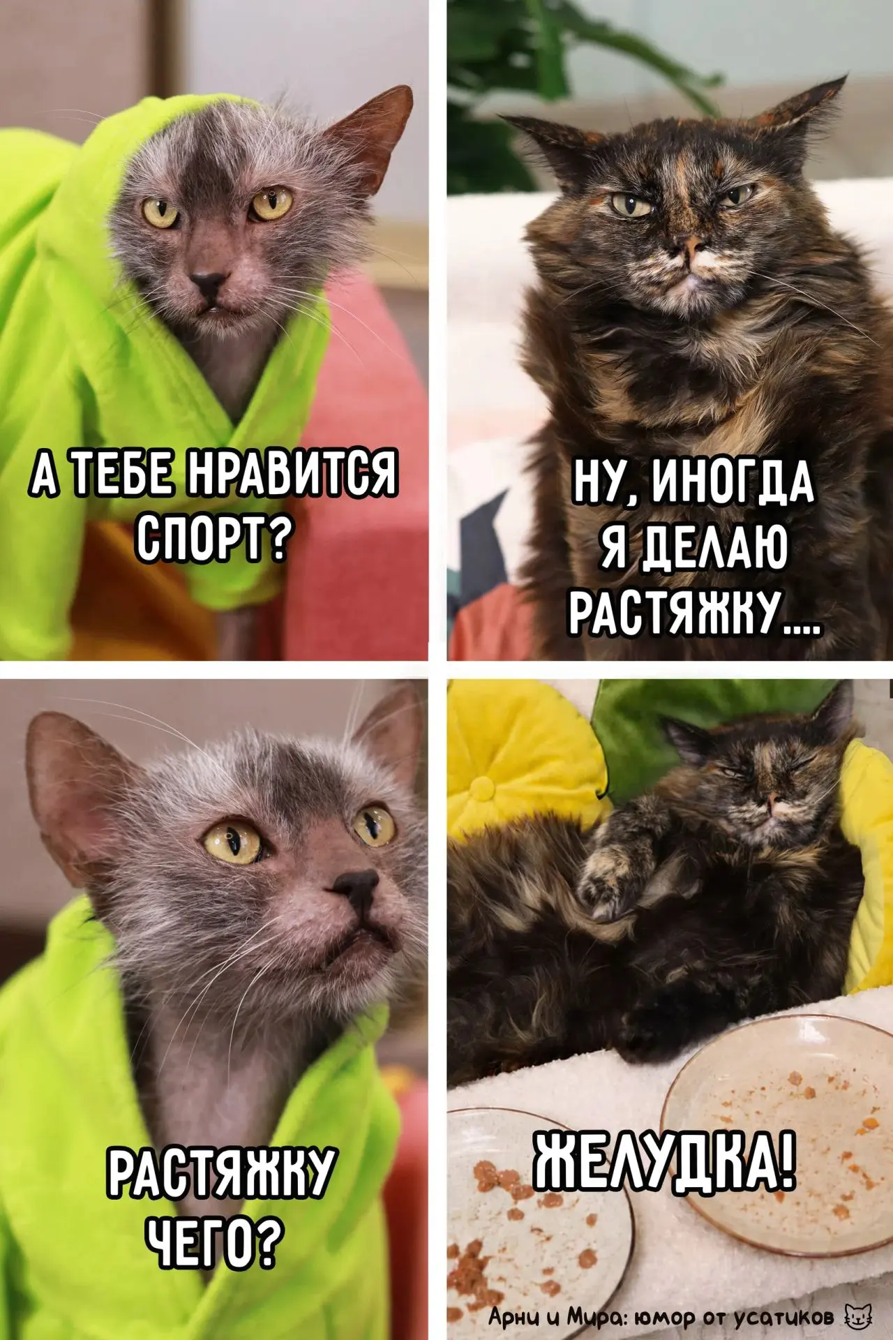 Подпишись на юмор 😂