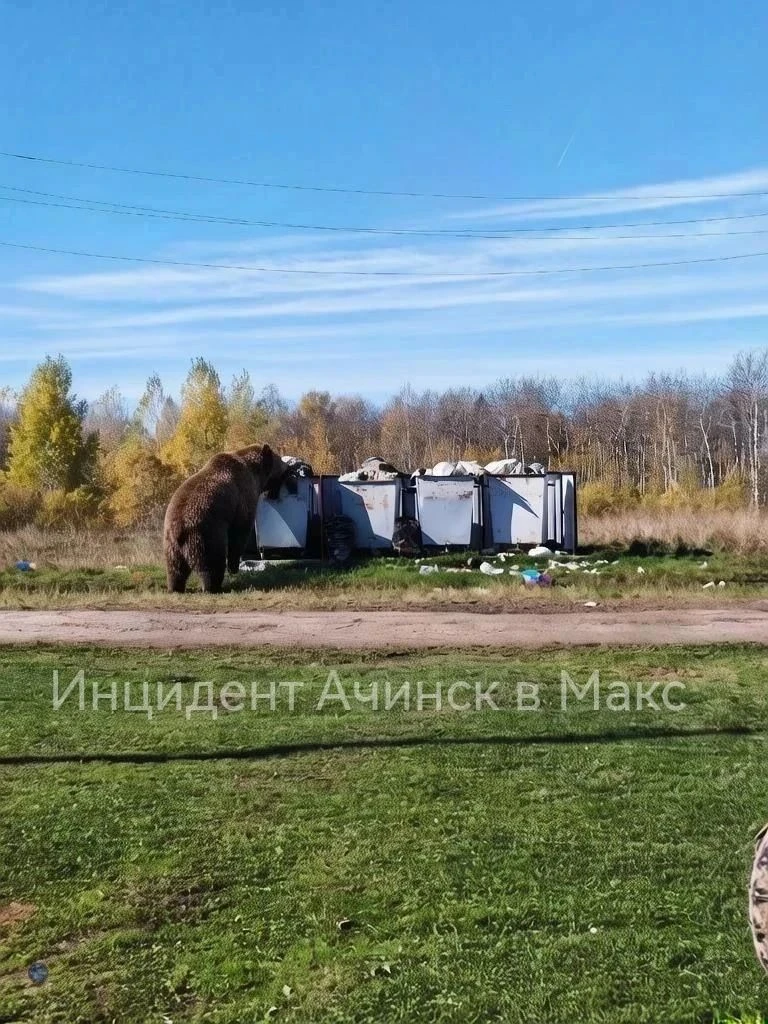 Красноярский край.