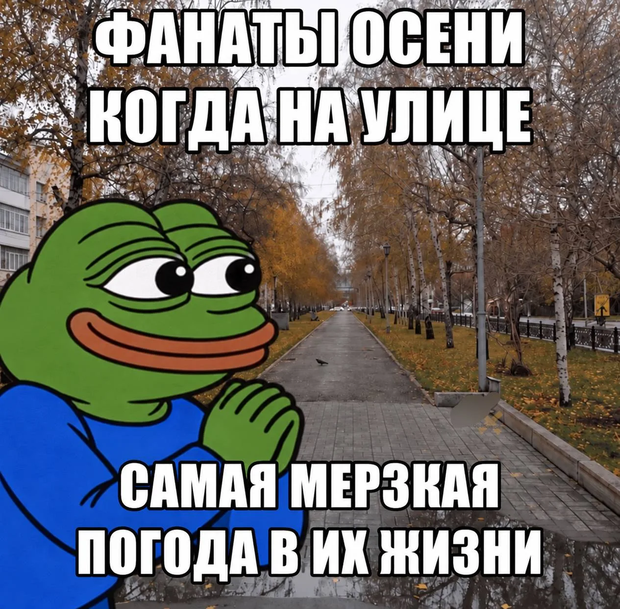 ↗️ Покажи другу — он тоже вспомнит.