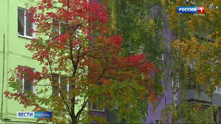 В Прикамье будет преимущественно без осадков