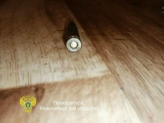 ⚖️ Житель Колыванского района осуждён за хранение найденных патронов