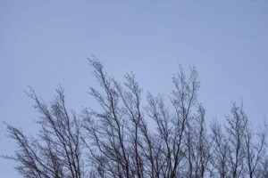 🌬 Татарстанцев предупредили о сильном ветре 10 октября