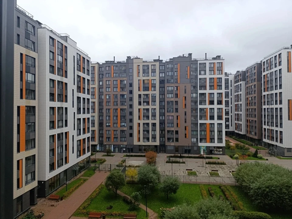 🦁 Компанию, которая построит новый зоопарк в Петербурге, пытаются обанкротить из-за долга