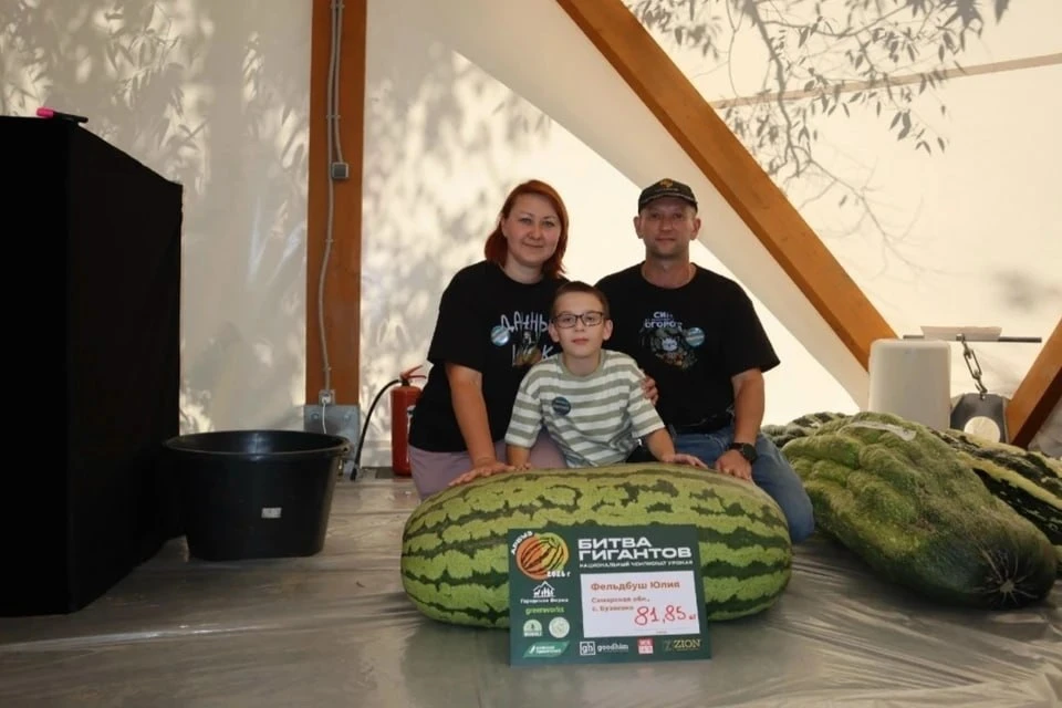 🍉 Самарский арбуз Гек вошёл в международный рейтинг гигантов