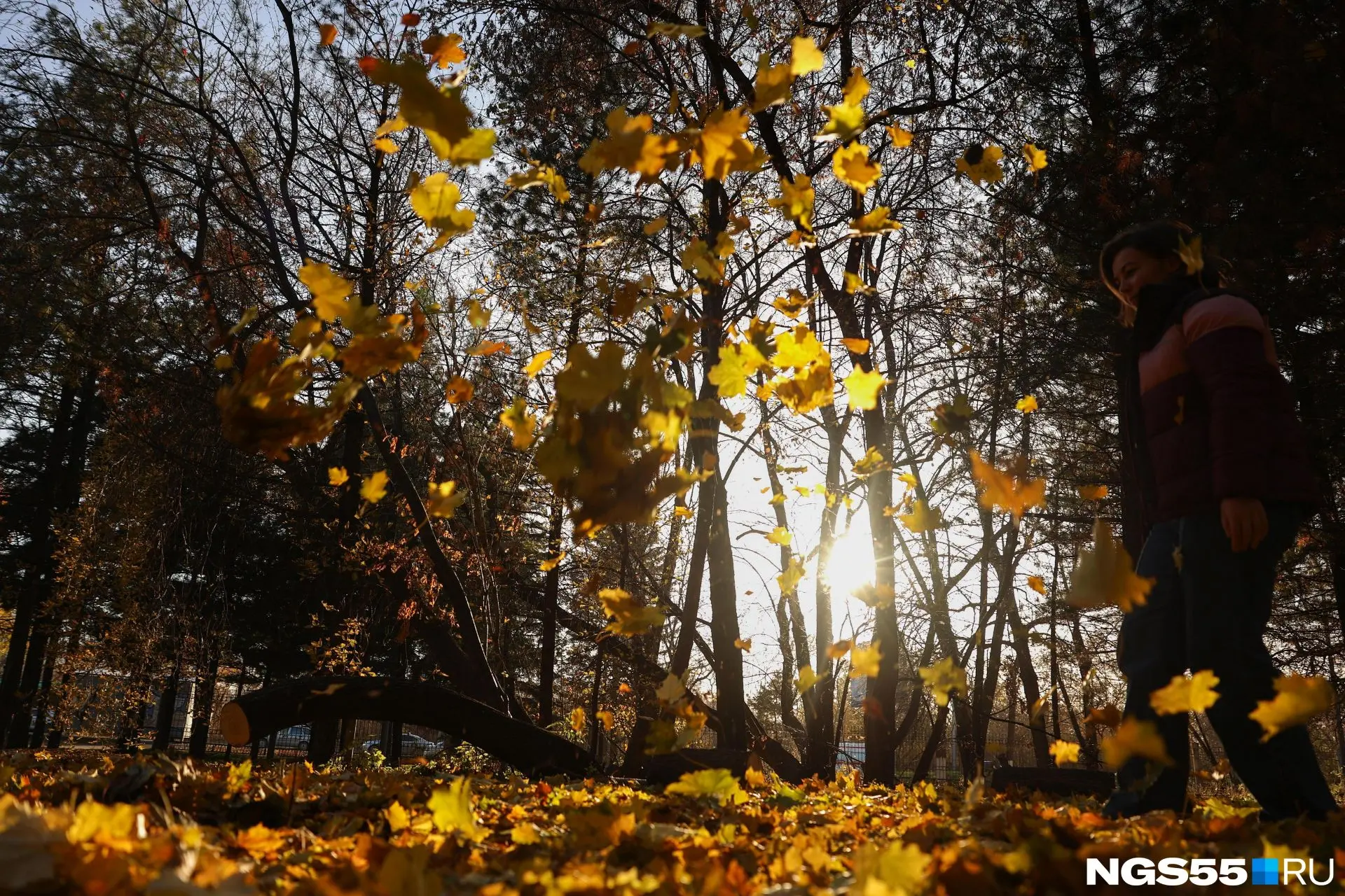 🍁Есть два типа людей: одни сейчас пьют тыквенный латте и умиляются, а другие достали ш...