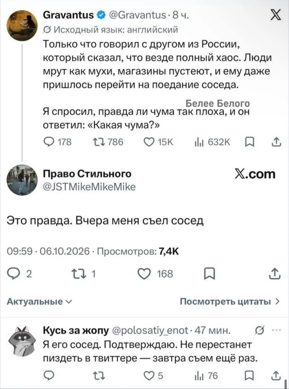 🐈‍⬛ Белее белого