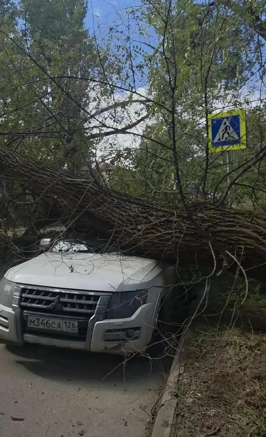 В столице СКФО природа моментально наказала нерадивого подрядчика, который уничтожил де...