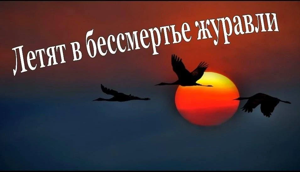 14 октября 1941 года навсегда для ржеветян останется самым черным днем. Именно тогда не...