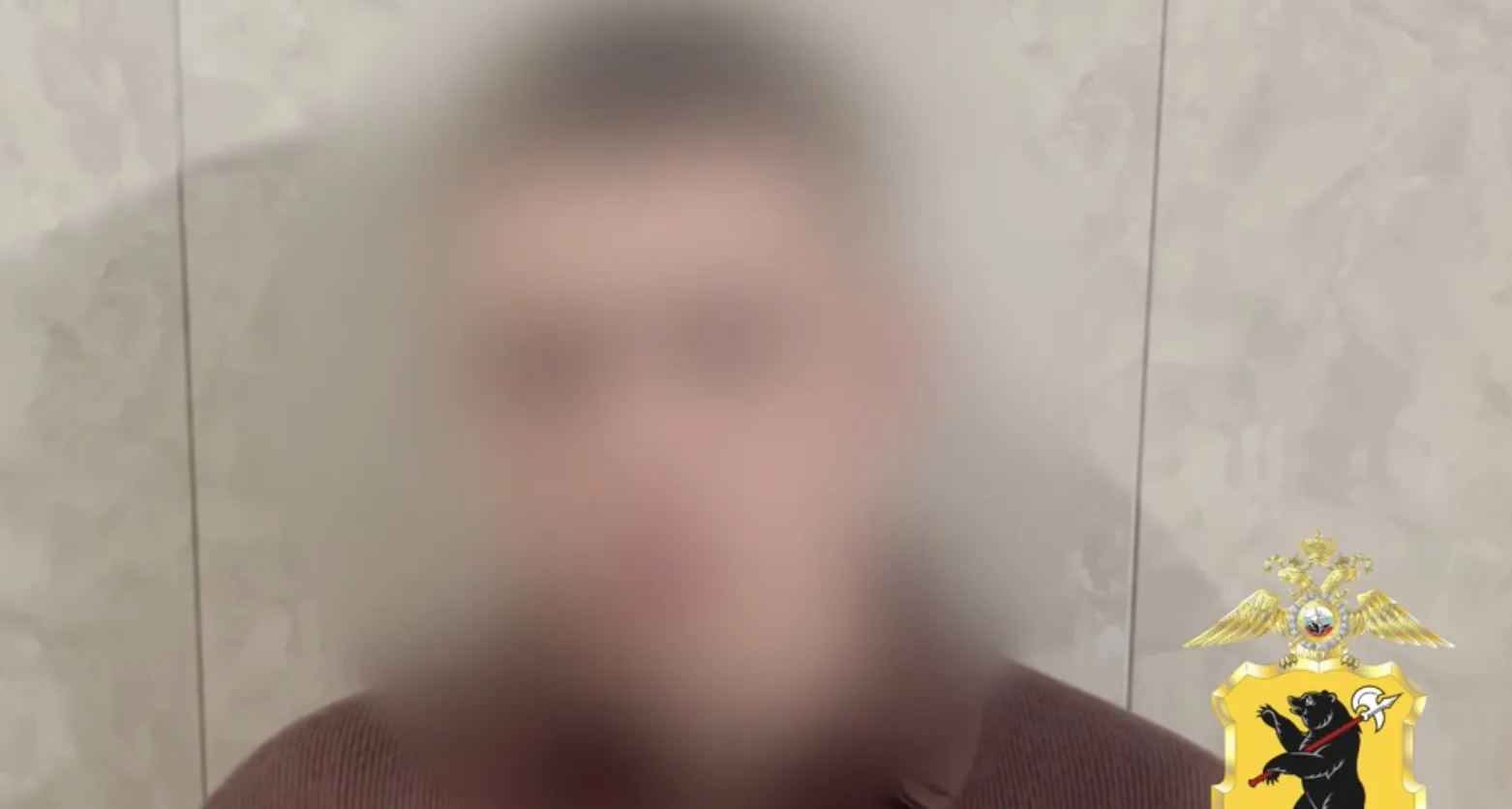 В Ярославле полицейские установили одного из граждан, который разрисовал арку дома на у...