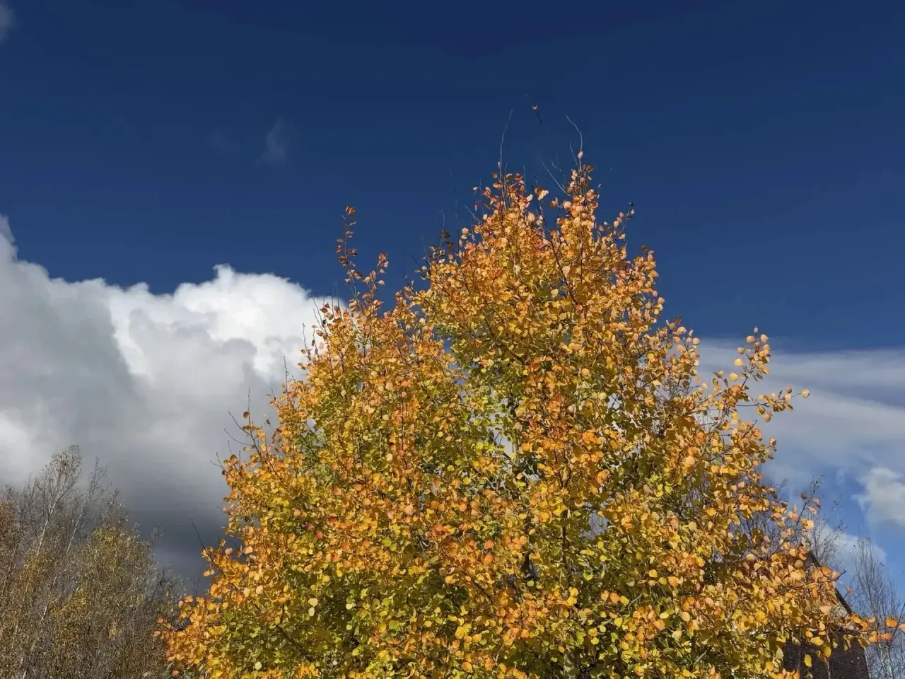 Прогноз погоды 🍁