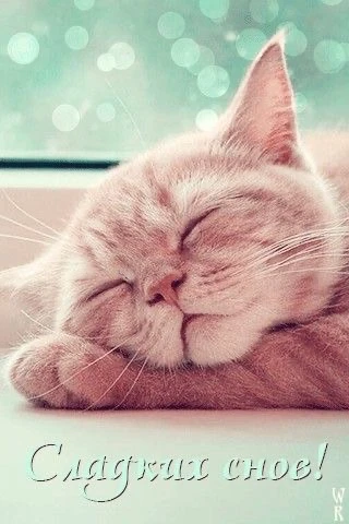 КРАСИВЫЕ ОТКРЫТКИ ТУТ💖