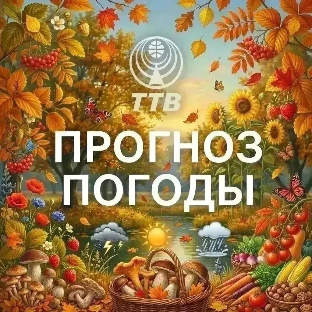 Прогноз погоды в Тулуне и Тулунском районе на понедельник, 12 октября🍁:
