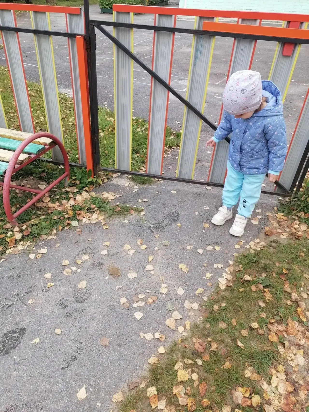 Наши наблюдения и открытия👀