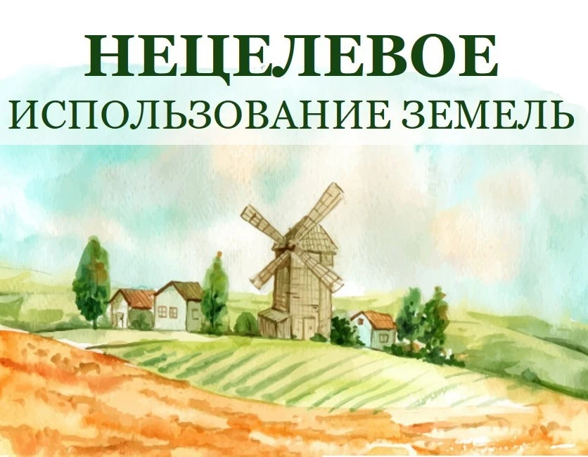 Об обязанности использовать земельный участок в соответствии с его разрешенным использо...