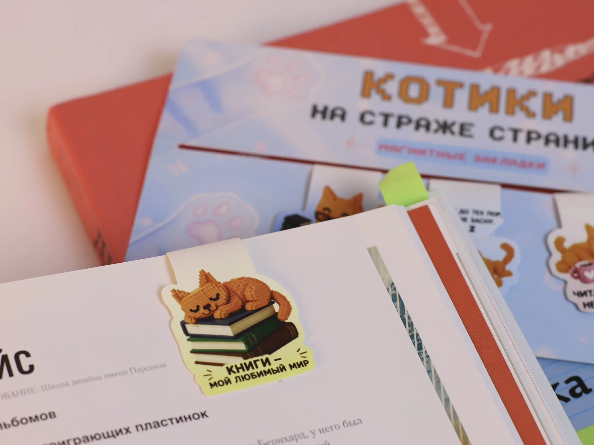 Котики на страже страниц!🐱🧡