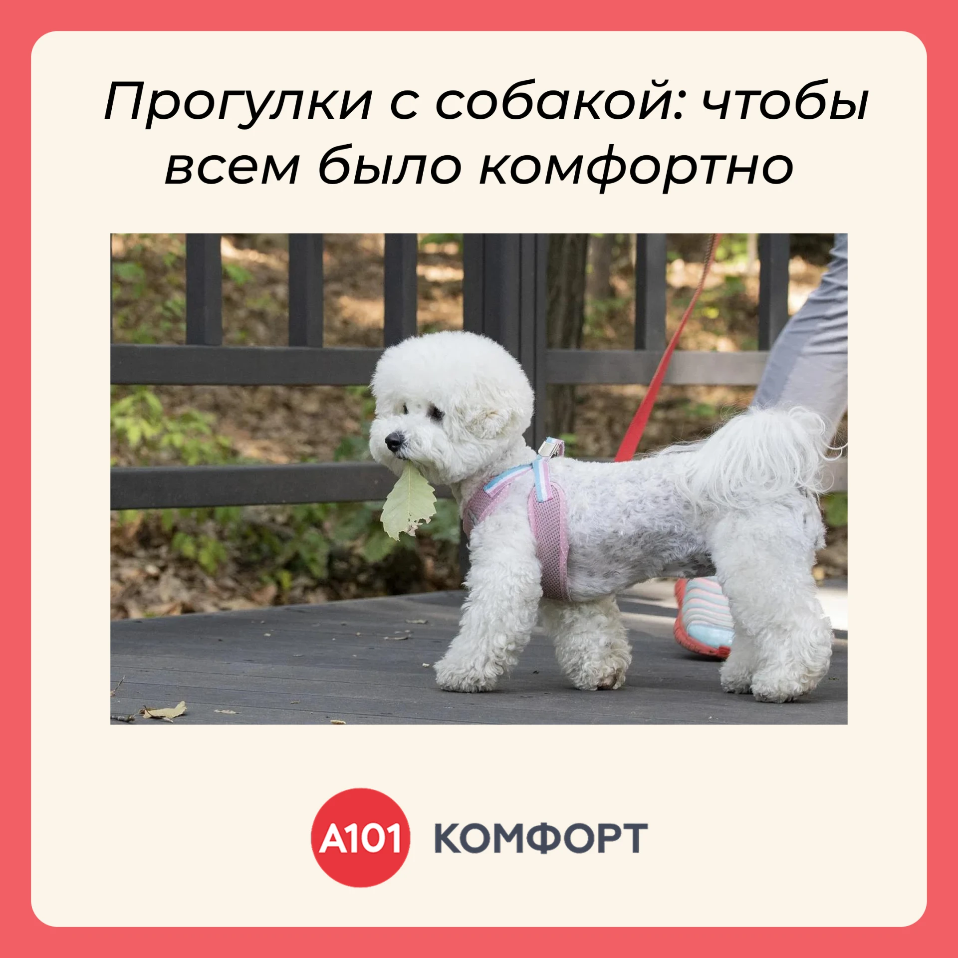 Дорогие жители!