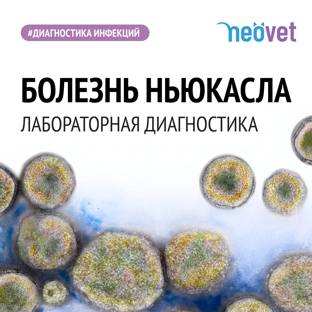 #диагностика_инфекций