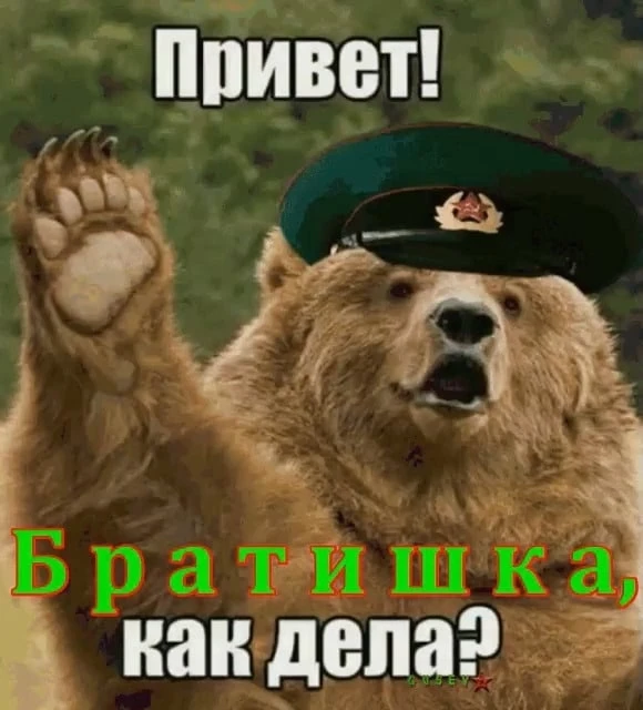 ★ Бодрого утра, ребята и девчата пограничники!