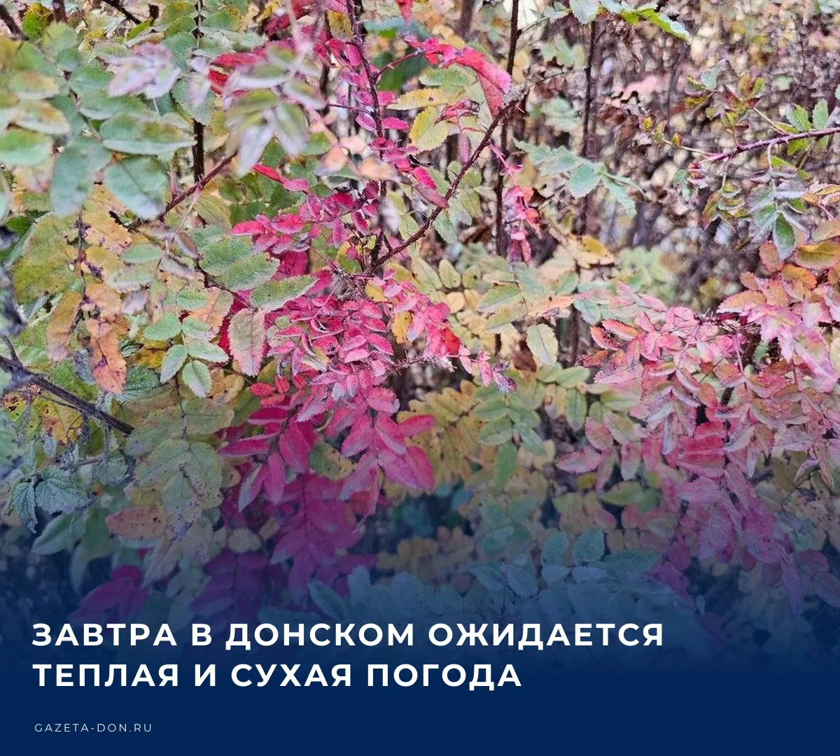 🌤️ В ночь на вторник в Донском прогнозируется переменная облачность, вероятность осадк...