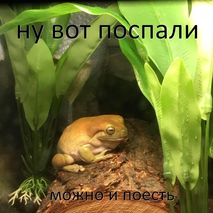 С НОВЫМ ДНЁМ!