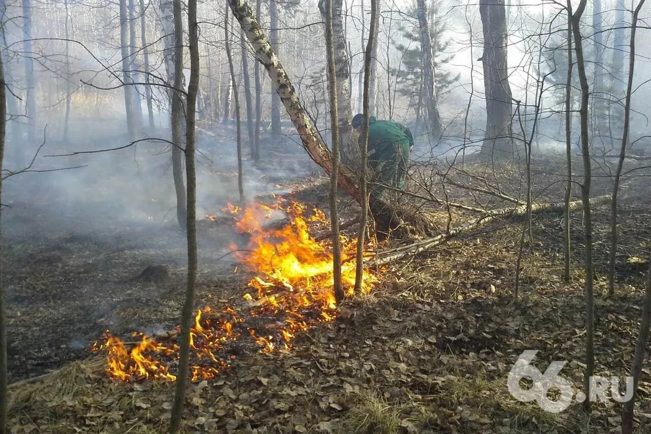 🔥 Пожароопасный сезон завершили в Свердловской области 9 октября — раньше, чем планиро...