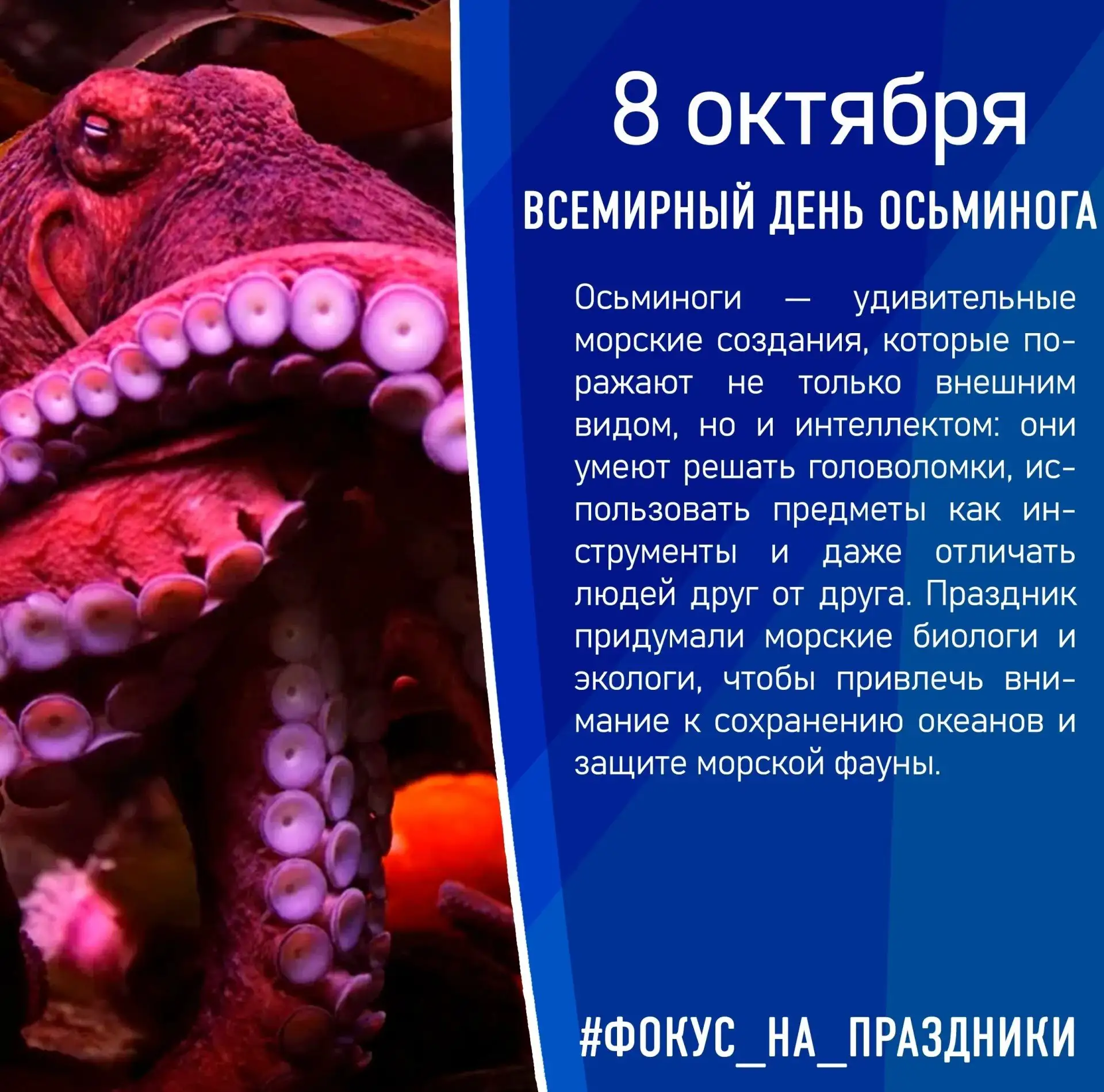 Всем привет, на связи Далевский университет 👋