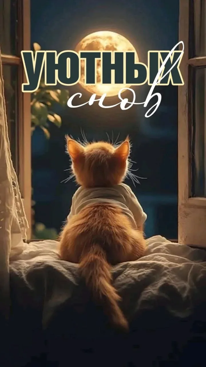 🥰Ставьте реакции и делитесь открыткой с близкими ❤️