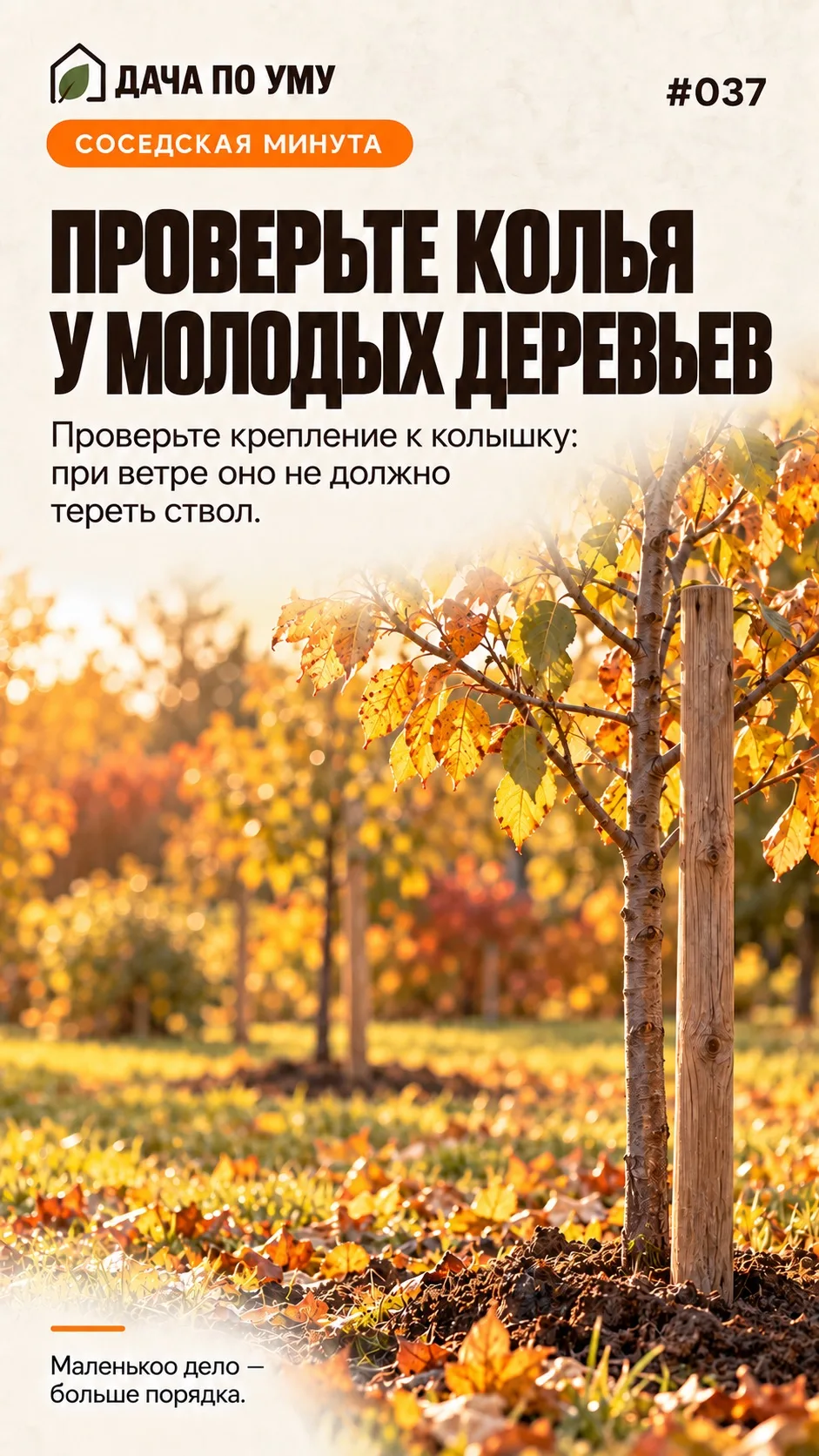 Доброго дня, соседи! ☕ Пусть сегодня всё нужное находится с первого раза — особенно хор...