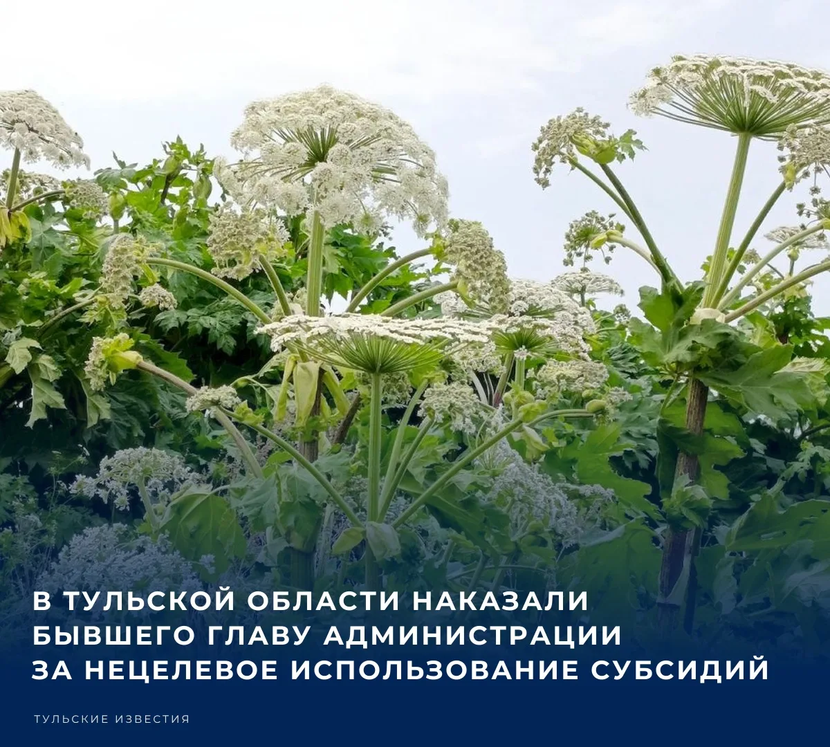 ⚖️ Органы прокуратуры Тульской области провели проверки исполнения законодательства об ...