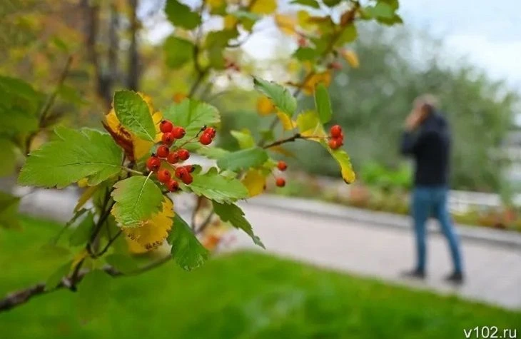 Теплая и солнечная погода без осадков задержится в Волгограде еще на неделю. Особенно т...