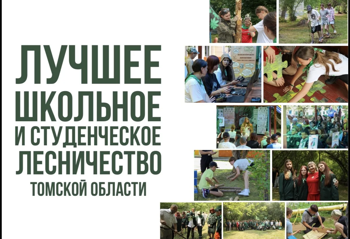 Подведены итоги областного заочного конкурса Лучшее школьное и студенческое лесничество...