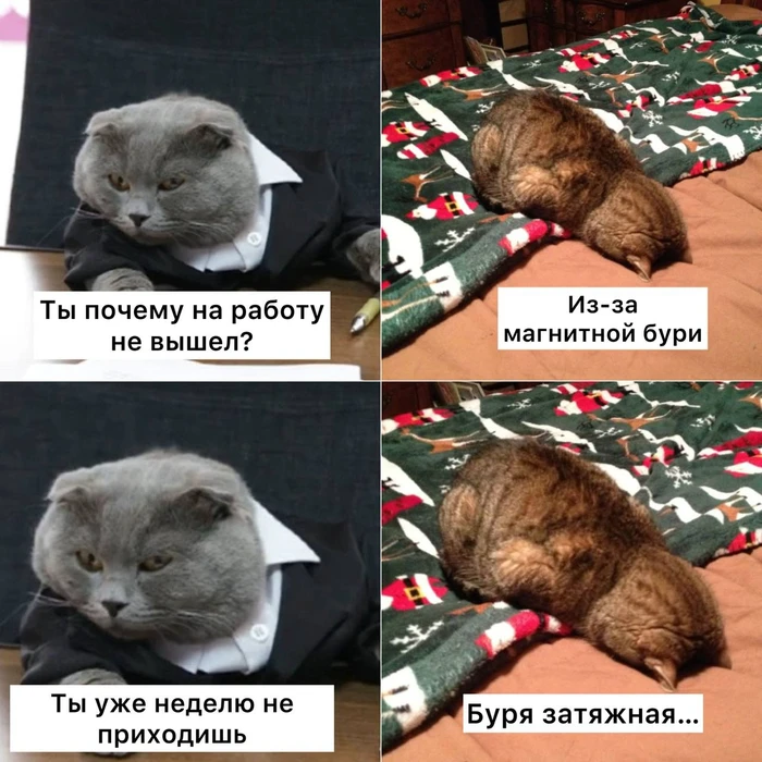 В пятницу, 9 октября, жителей Шахт ожидает магнитная буря. Геомагнитные удары начнутся ...