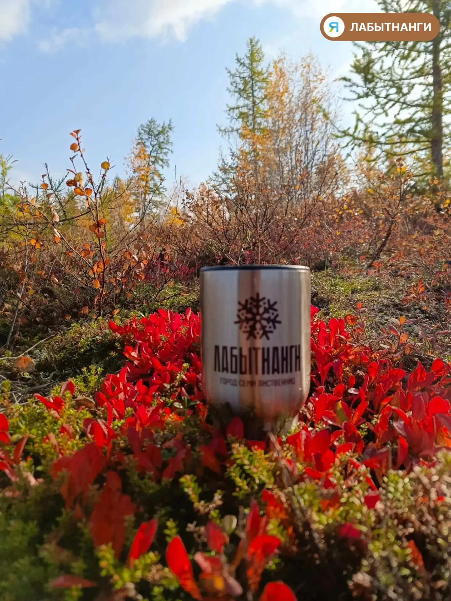 15 октября - День собирания осенних листьев 🍁