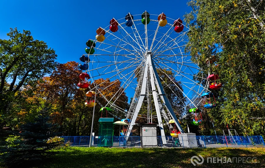 🎡🦁 В Пензе зоопарк и аттракционы хотят сделать бесплатными для многодетных семей
