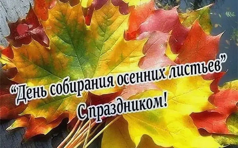 🧐 Знаете ли вы, что 15 октября отмечается День собирания осенних листьев.