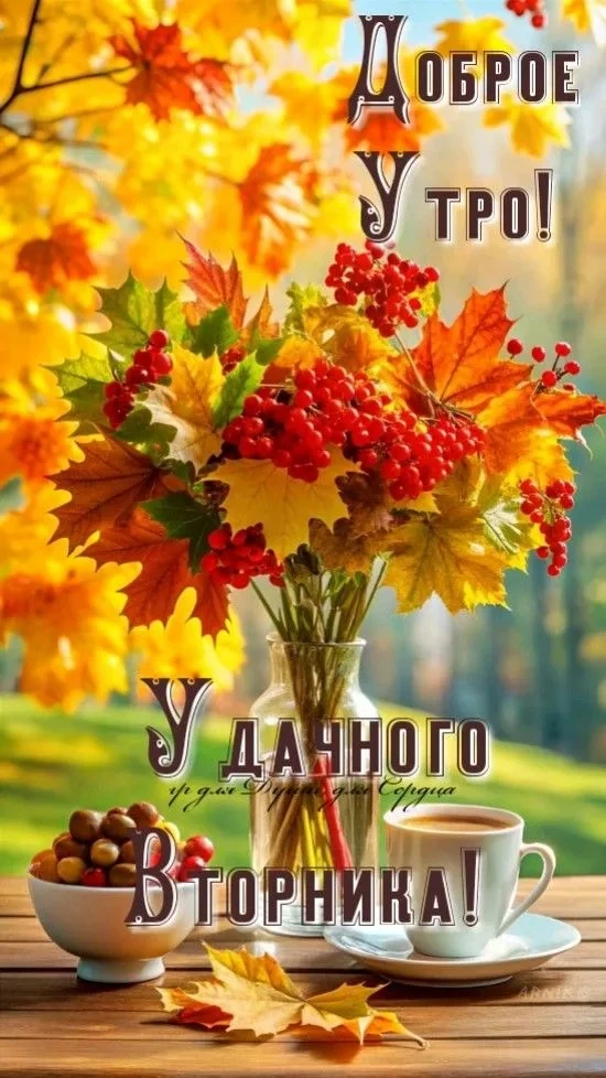 👉 ОТКРЫТКИ 💗 С добрым утром!