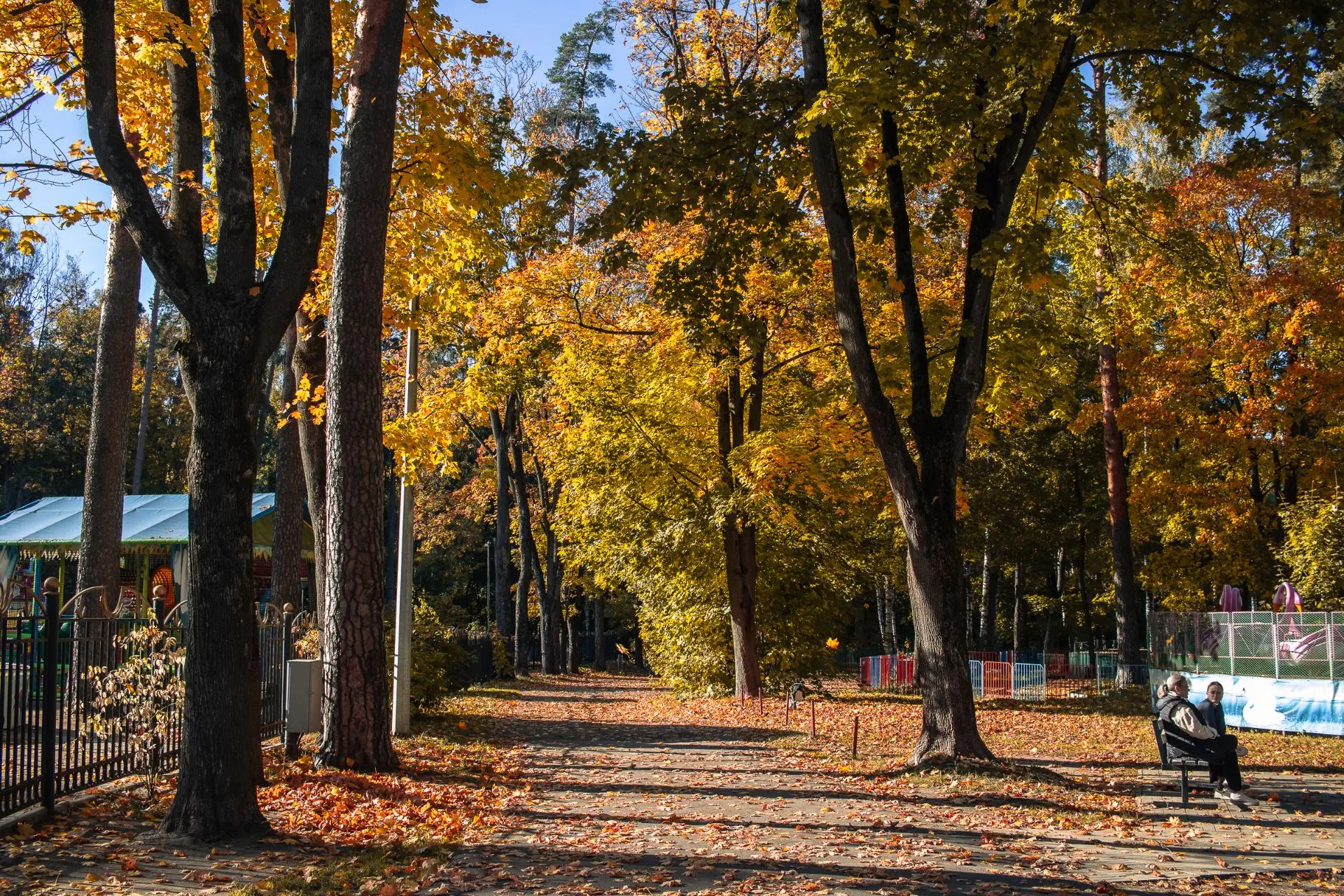 Доброе утро, дорогие друзья! 🍁