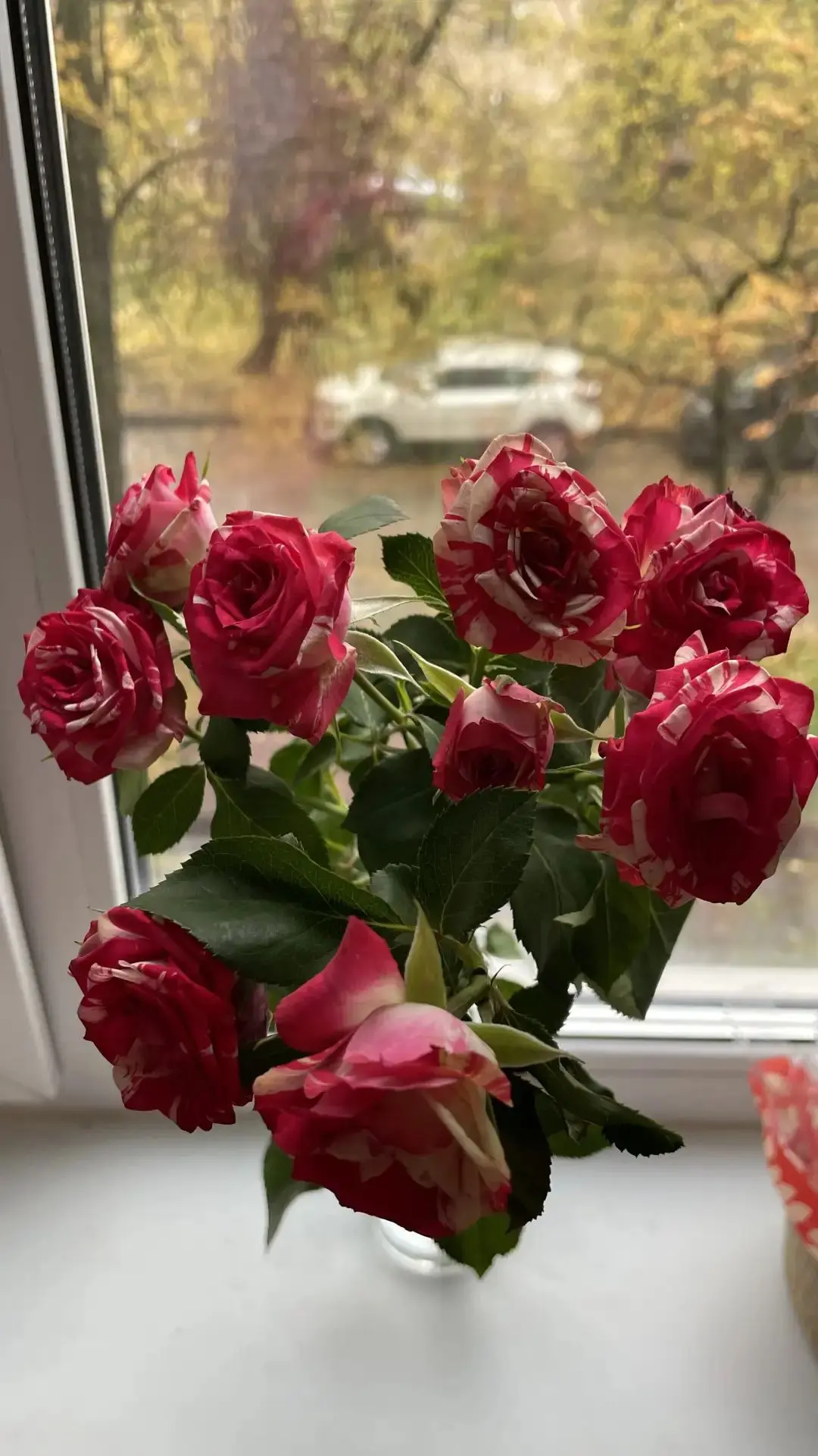 Осень дышит любовью 🥰видите сердечки♥️я да😂