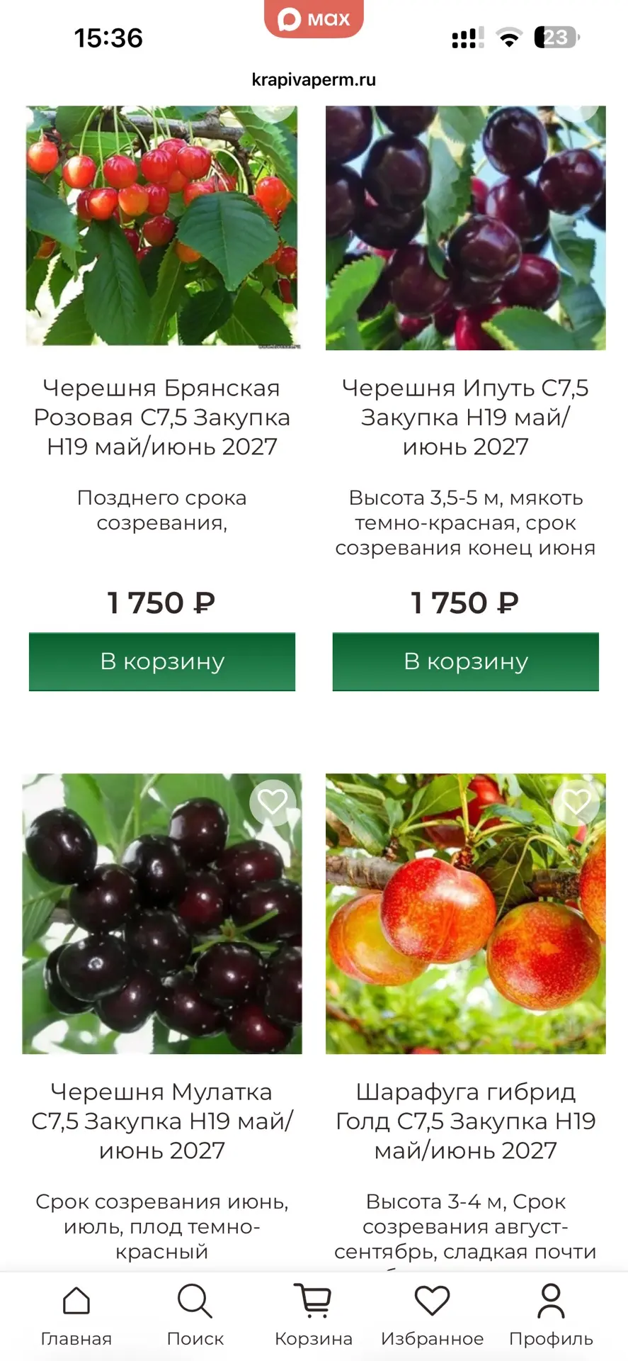 Даем скидку 15% на предзаказ плодового сада