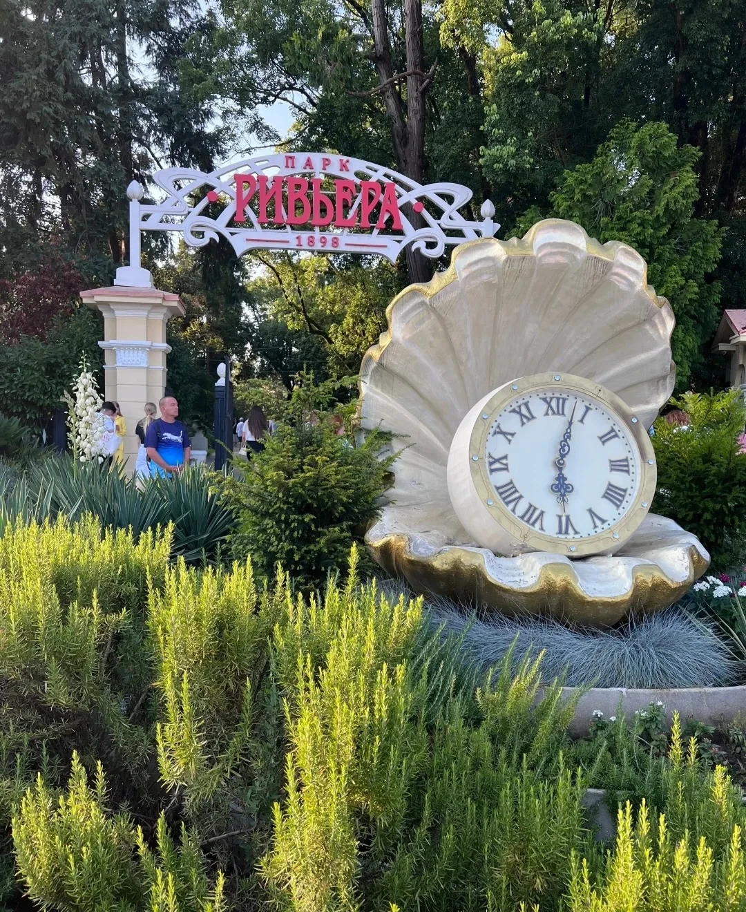 📍 Регион: 🌴 Сочи